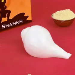Vamavarti_Shankha